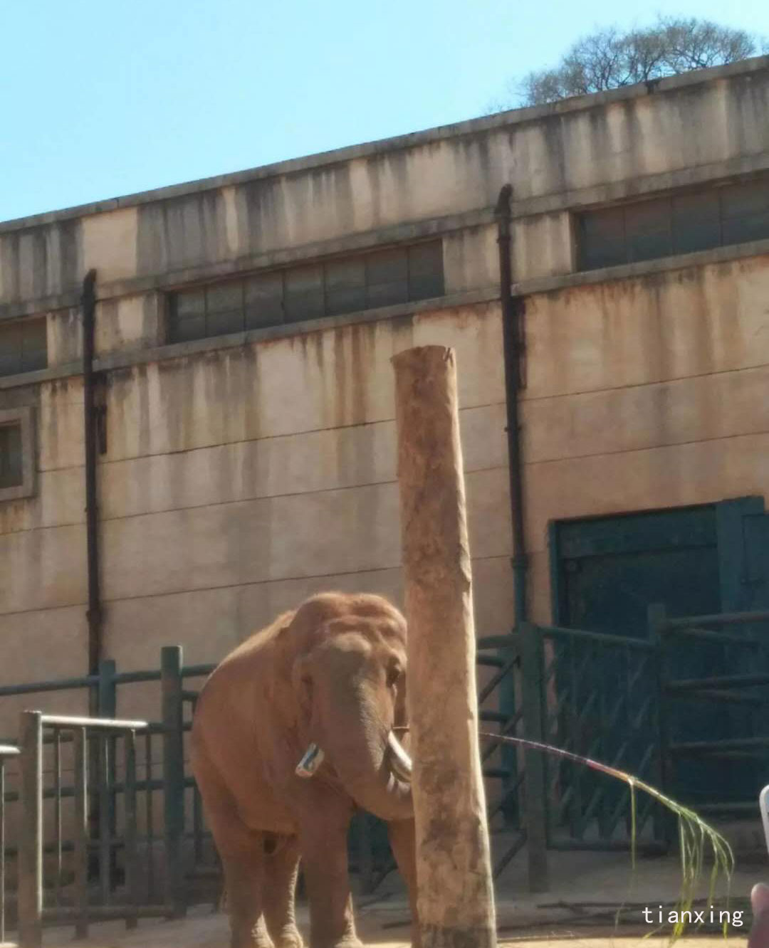 圓通山動物