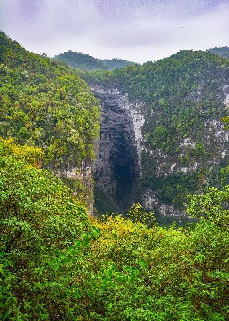 師宗